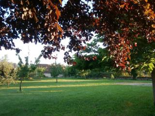 Gîte charmant avec jardin et cheminée à 2 km de Cherveix-Cubas, proche sites préhistoriques et nautiques - FR-1-616-158 - Cherveix-Cubas - 9