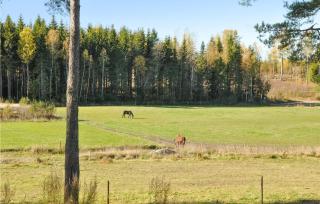 1 Bedroom Pet Friendly Home In Säffle - Säffle - 3