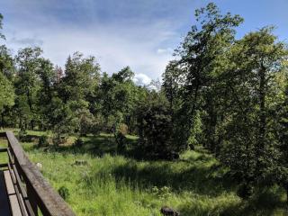 Gilmore Cabin - Miramonte - 5