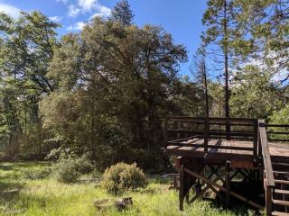 Gilmore Cabin - Miramonte - 4