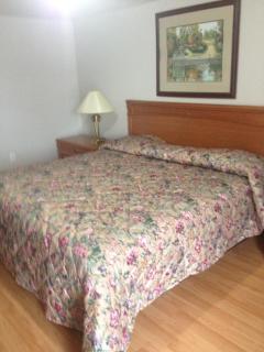 American Plaza Motel - 8