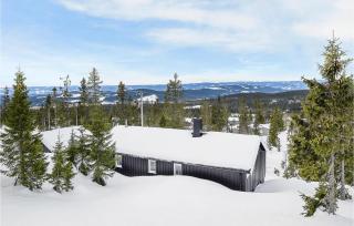 4 Bedroom Gorgeous Home In Sjusjøen - Sjusjøen - 2