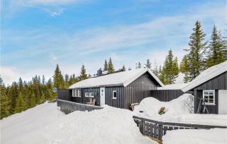 4 Bedroom Gorgeous Home In Sjusjøen - Sjusjøen - 1