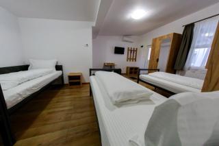 Pensiunea Sofia - Satu Mare - 9