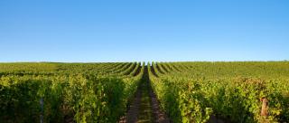 Camping maeva Escapades Le Casque Roi - 8