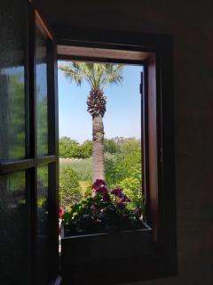 Casa Callinos - Selçuk - 1