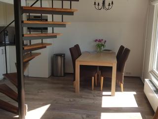 Home near the sea and south-facing garden - Tuitjenhorn - 5