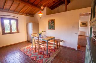 Apartment with view and garden - Quercia - Ghizzano - 8
