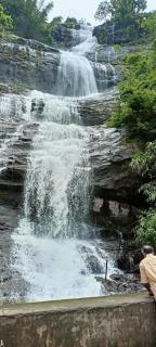 4 Acre Woods Farm Stay - 8
