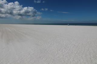 Belleair Beach Club 312 - Clearwater Beach - 5