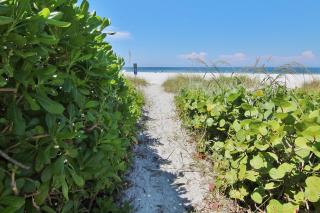 Belleair Beach Club 312 - Clearwater Beach - 1