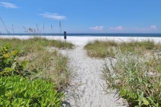 Belleair Beach Club 312 - Clearwater Beach - 8
