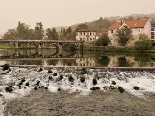 Daisy's place - Arcos de Valdevez - 0