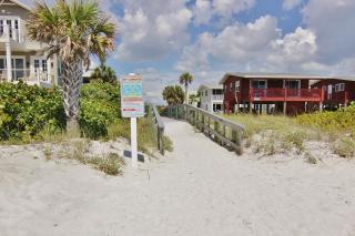 Seashell 12 - Clearwater Beach - 5