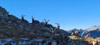 Apartment Fritsch - 6