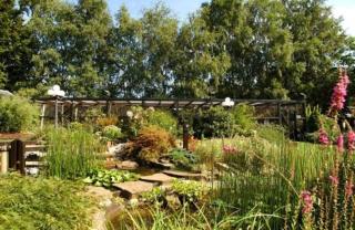 Hostellerie Au Vieux Hetre - Jalhay - 4