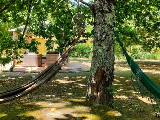 Casa Das Palmeiras-Pedagogic Farm - Mangualde - 3