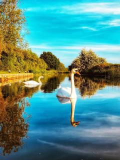 Swan Path Retreat - 2 Bedroom Apartment - Heybridge - 0