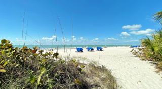 Arie Dam 201 - St Pete Beach - 2
