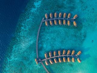 Centara Ras Fushi Resort & Spa Maldives - 50 percent discount on transfers for min 4 nights stay and more, valid for reservations between 11th Feb till 22 Dec 2025 - Atolón de Malé Norte - 5