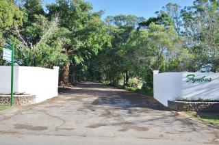 Fynbos Guest House Riversdale - Riviersdaal - 9