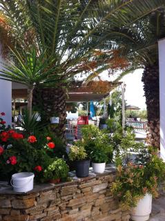 Plaka Camping Naxos - 5