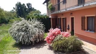 Cascina in Alto Piemonte / Piedmont countryhouse - 9