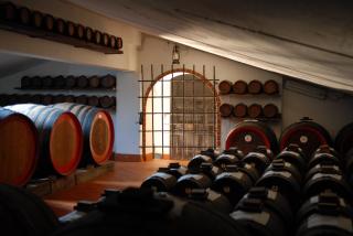 Real BB Balsamico - Bastiglia - 6