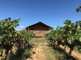 Safaritent Glamping de L'Olivigne - Bize-Minervois - 4