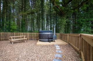 Cabin In The Woods - 1 Bedroom Lodge - Kilgetty - Stepaside - 2