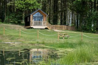 Cabin In The Woods - 1 Bedroom Lodge - Kilgetty - Stepaside - 8
