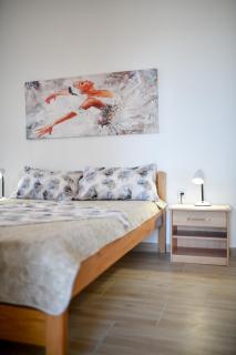 Apartment Jaga - Vir - 4