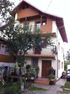 pensiunea Casa Eliza Maria - Bucşeneşti - 0