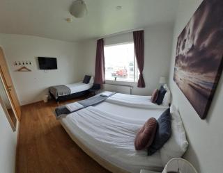 Höfn Guesthouse - Höfn - 6