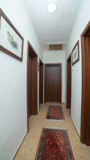 Flamingo - Virpazar - 2