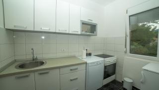 Flamingo - Virpazar - 3