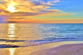 Beach Place 1-404 - St Pete Beach - 6