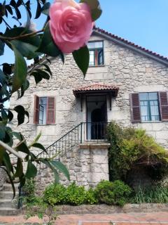 Nossa Casa na Aldeia - Viseu - 1