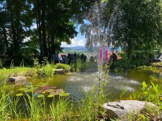 Hotel Sonnenhof 3-Sterne-Superior - 8