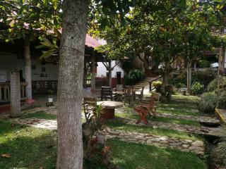 finca hotel palmas frente a panaca - Quimbaya - 8