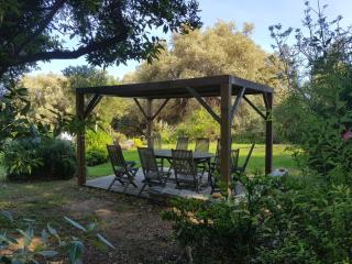 Domaine de Valle - Sorbo-Ocagnano - 1