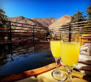 Hotel El Milagro - Pisco Elqui - 3