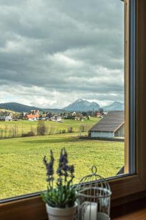 Apartamenty ROZETA Poronin - Poronin - 1