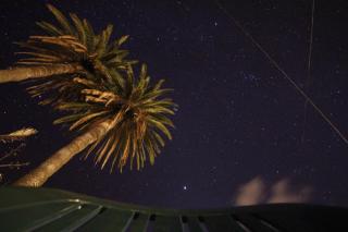 Rincón La Palma - 9