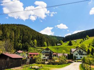 Valea Dorului Guest House - 3
