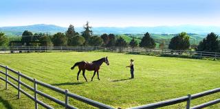 Art Apartment Chianti Family - Lappeggi - 5