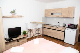 COSY STUDIO IN NOVE ZAMKY - 0