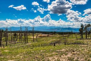 Private Mountain Cabin! King Bed 8 Acres Game Rm - 8
