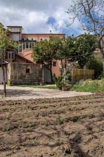 Il Casale di Don Matteo - Vico Equense - 1