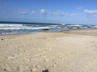 Toko Mouth Beach House - Glenledi - 1